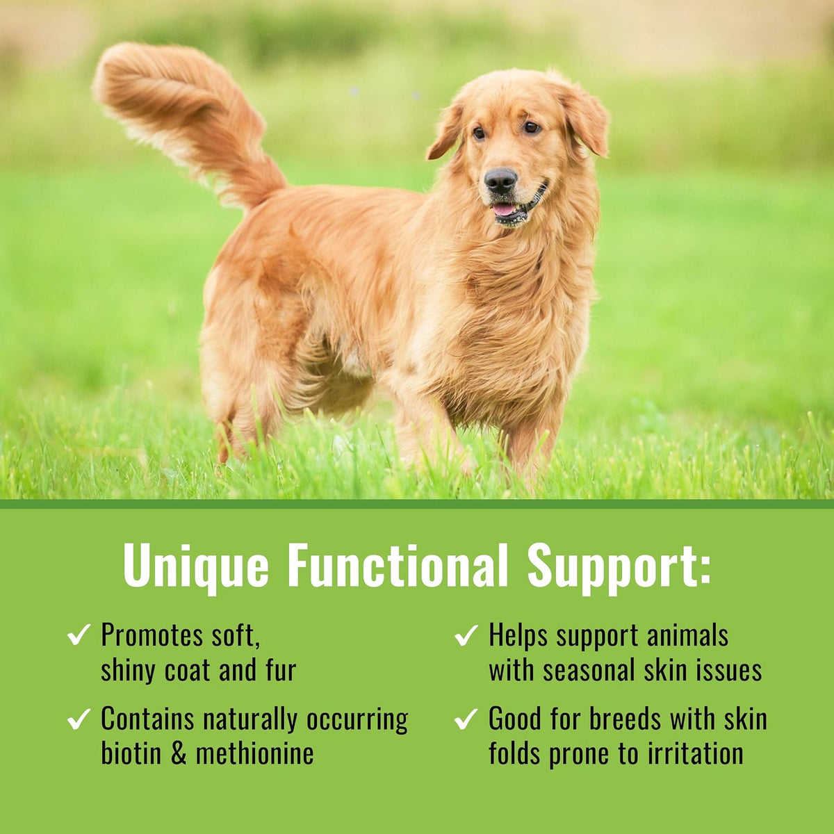 Canine Organic Mushroom Powder Skin and Coat Supplement, 200 Grammes (Packaging May Vary) - görsel 3