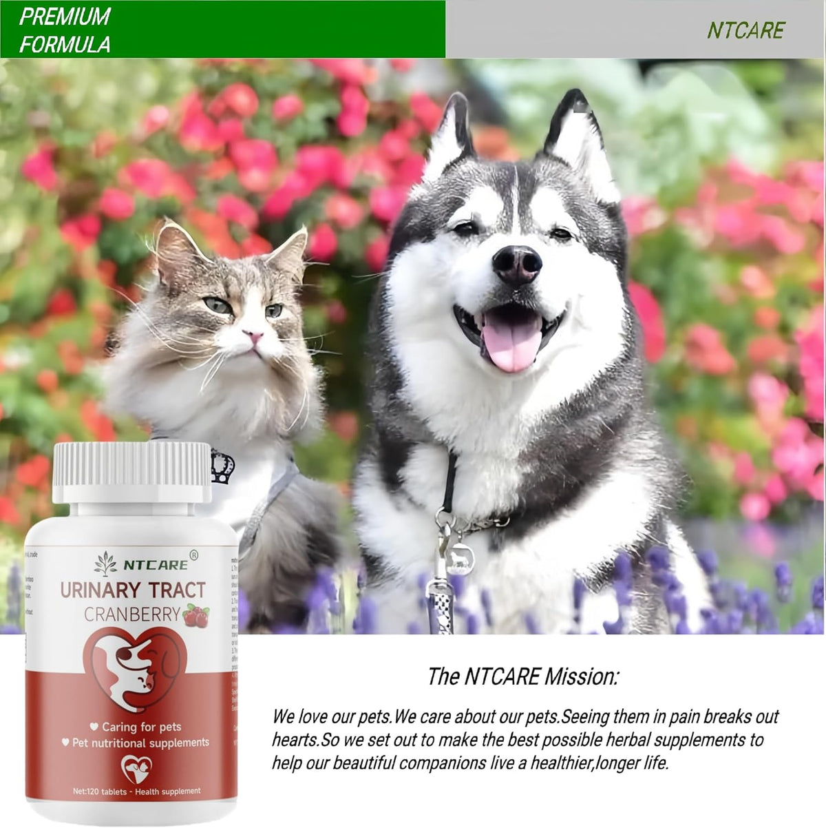 Cranberry for Dogs and Cats - Urinary Tract & Bladder Health Support - 120 Tablets - görsel 6