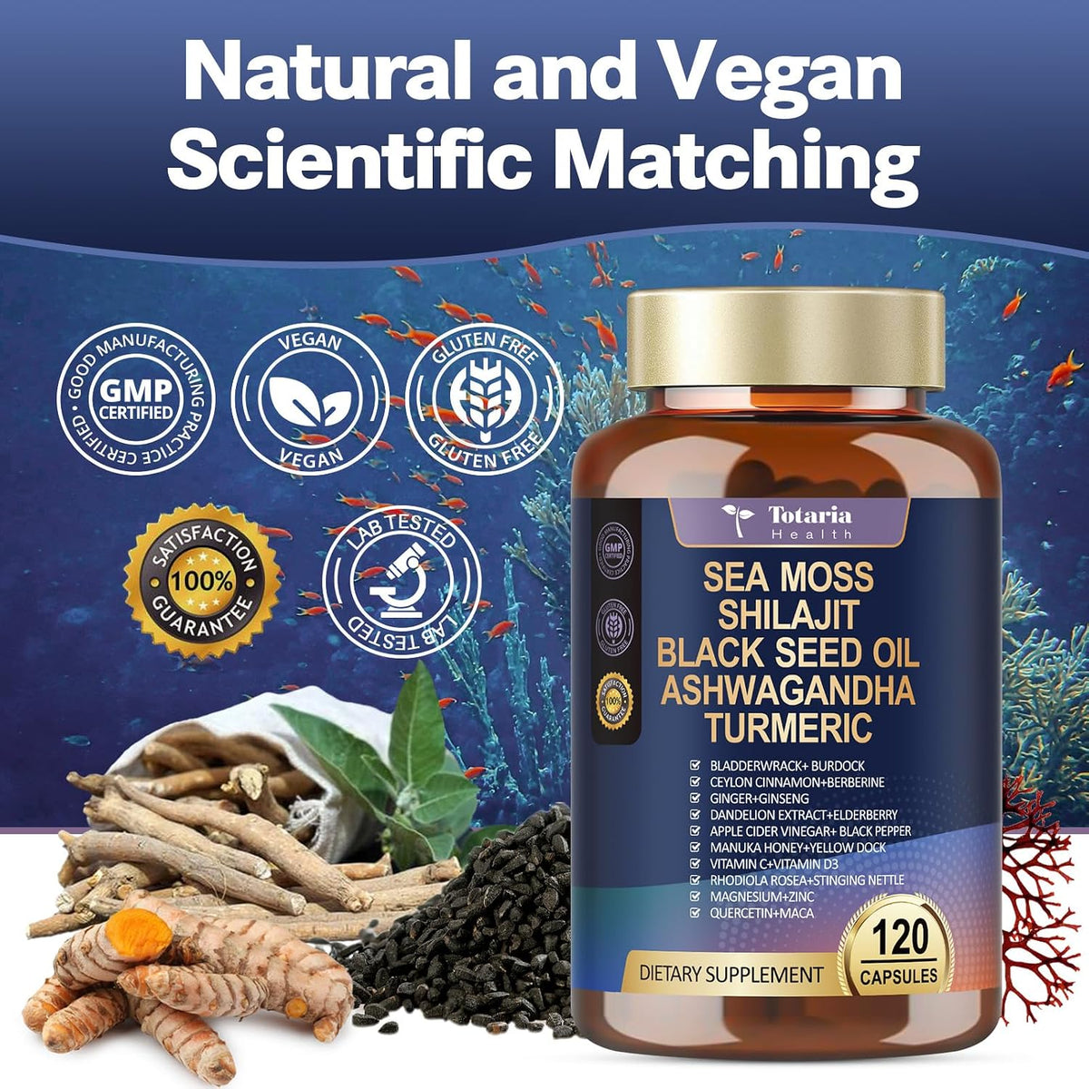 Totaria 25-in-1 Sea Moss Capsules, 120 Capsules per Bottle (Pack of 2) - görsel 7