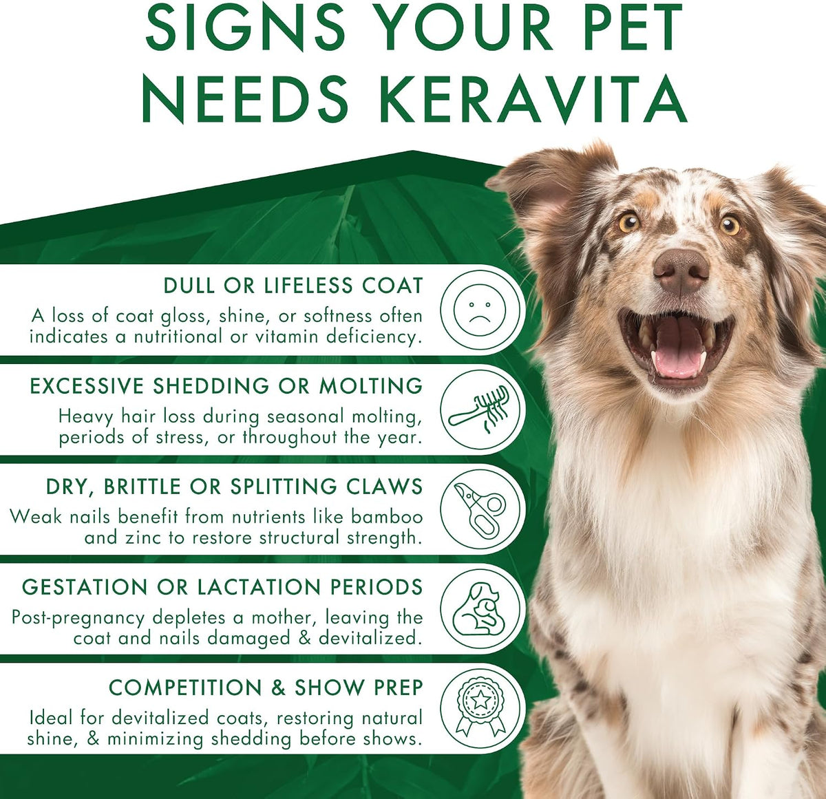 Dermoscent Keravita Dog & Cat Skin and Coat Food Supplement - 30 Tablets - görsel 6
