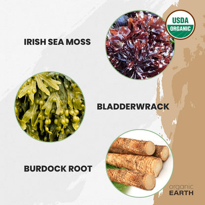 Organic Earth Irish Sea Moss Powder with Bladderwrack & Burdock Root - 227 g