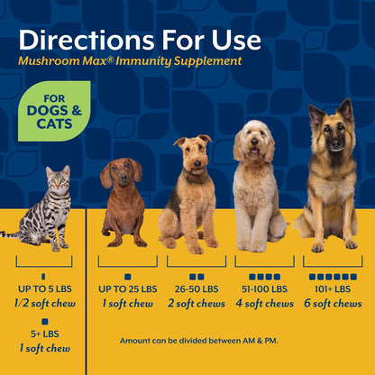 NaturVet Mushroom Max Advanced Immune Support Dog Supplement, 120 Chewable Tablets