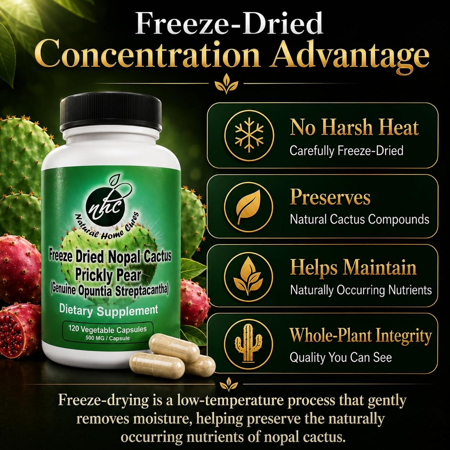Premium Freeze-Dried Nopal Cactus Capsules – 500 mg, 120 Vegan Capsules - görsel 4