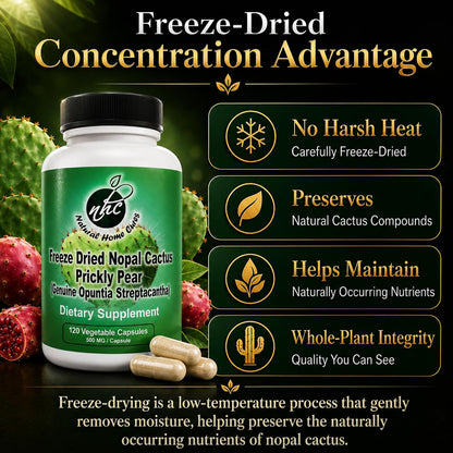 Premium Freeze-Dried Nopal Cactus Capsules – 500 mg, 120 Vegan Capsules