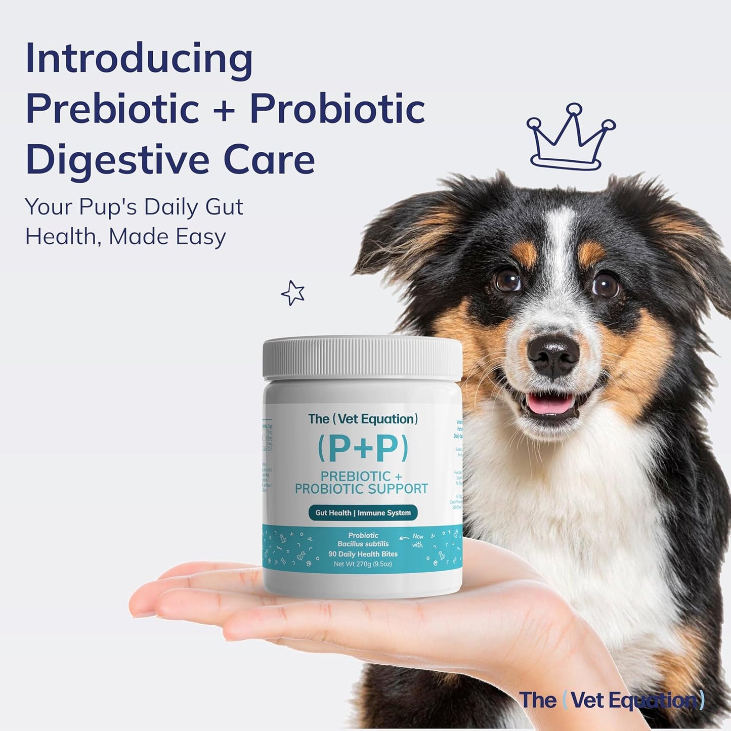 Prebiotic & Probiotic Dog Chews with Bacillus Subtilis, B12 & Folic Acid – Natural Duck Flavour (90 Count) - görsel 2