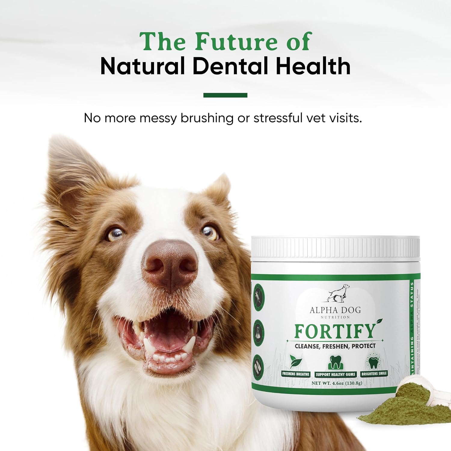 Alpha Dog Teeth Cleaning Powder - Natural Dental Powder for Dogs with Kelp and Probiotics - görsel 7