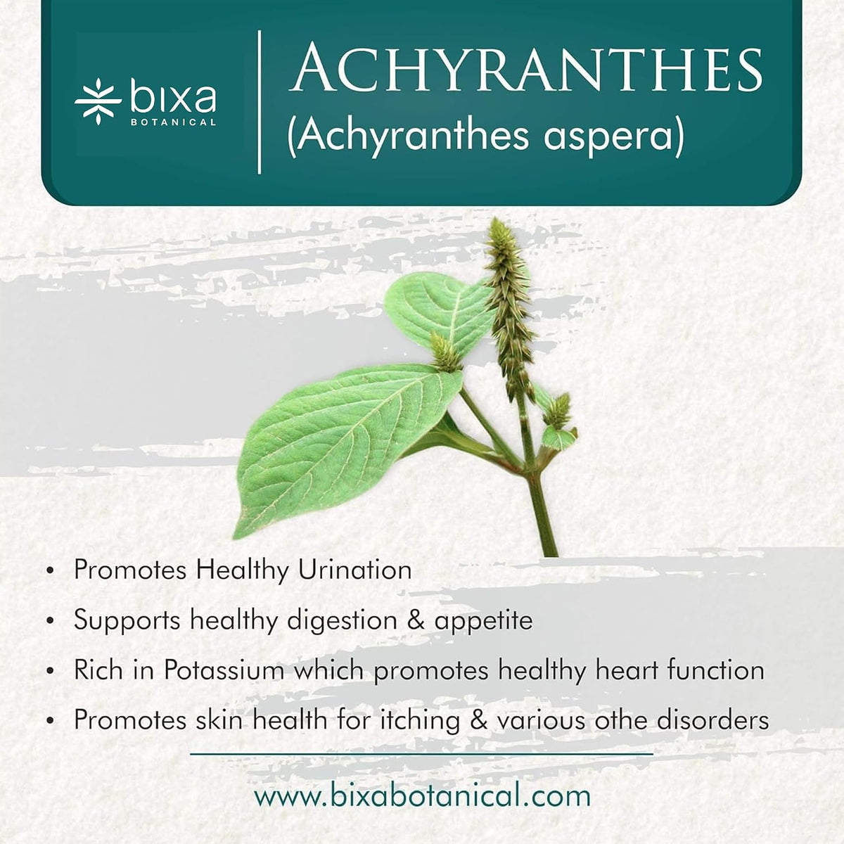 bixa BOTANICAL Achyranthes Aspera Powder – Ayurvedic Apamarga Supplement, 200 g (7 oz) - görsel 2