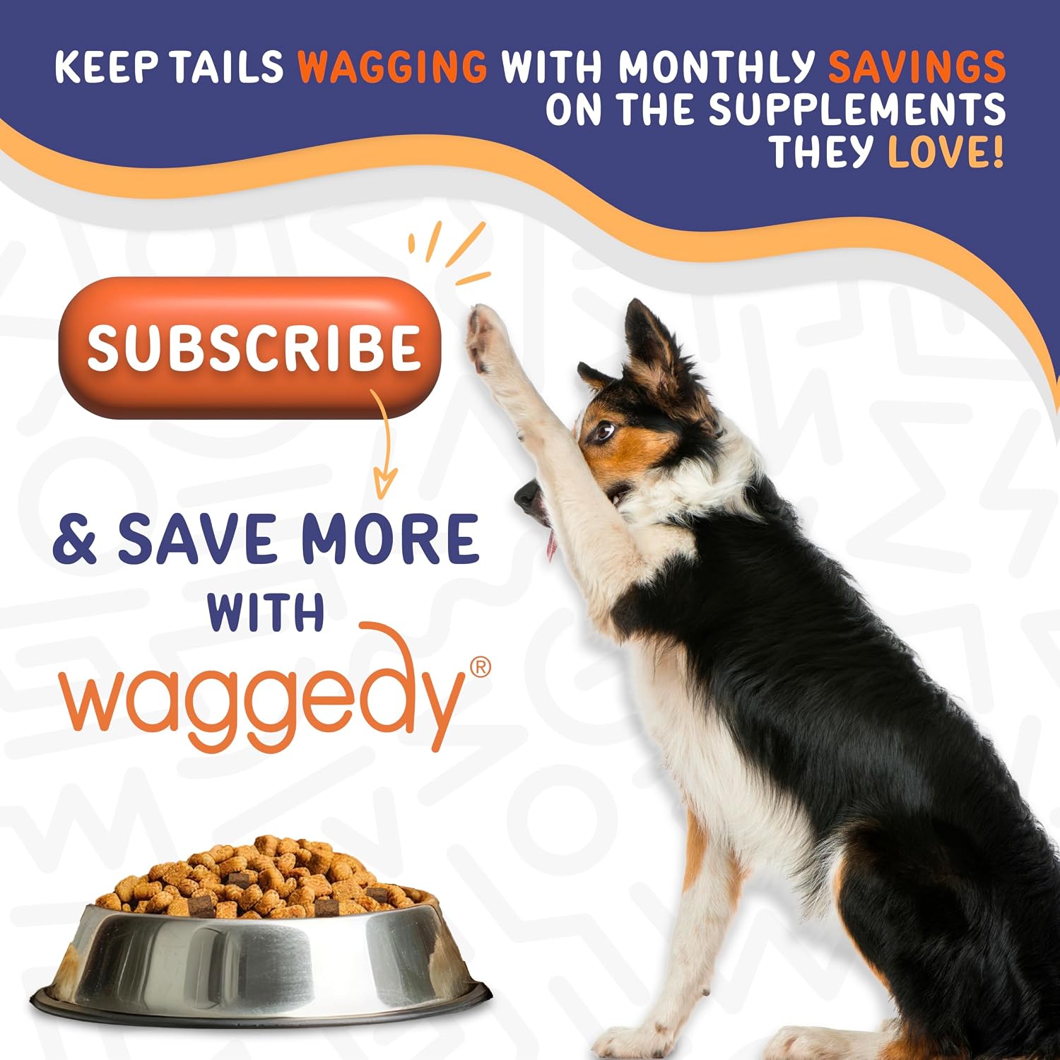 Waggedy Advanced Dog Probiotics Gut and Digestion Food Topper – Probiotic Powder with Digestive Enzymes & Papaya – Gentle Probiotics for Dogs 6+ Weeks – Supports Gut Balance, Comfort & Immune Health - görsel 7