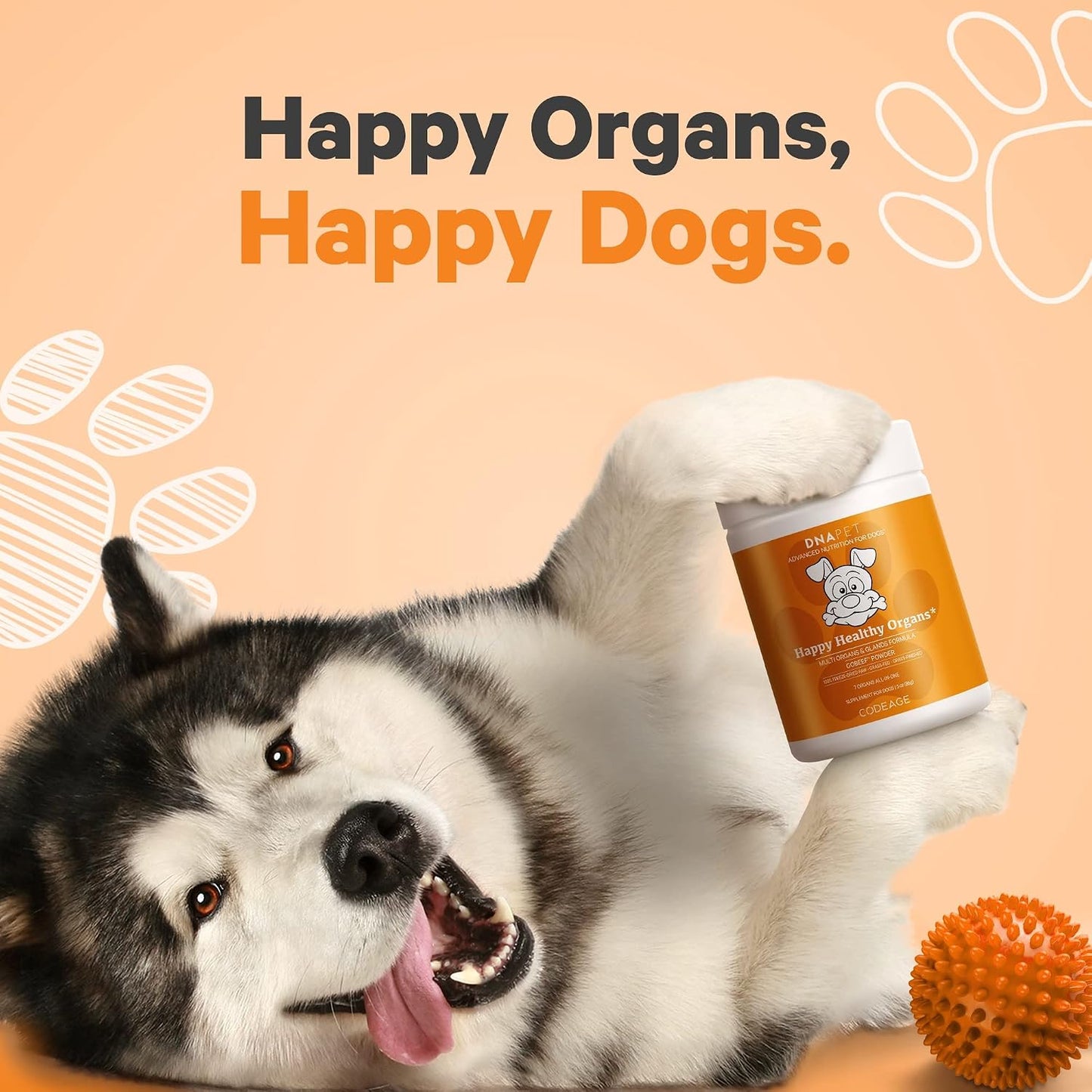 Happy Healthy Organs & Glands Supplement for Dogs - Freeze-Dried Raw Grass-Fed Beef Multi-Organ, 85 g - görsel 7