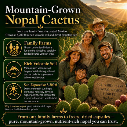 Premium Freeze-Dried Nopal Cactus Capsules – 500 mg, 120 Vegan Capsules