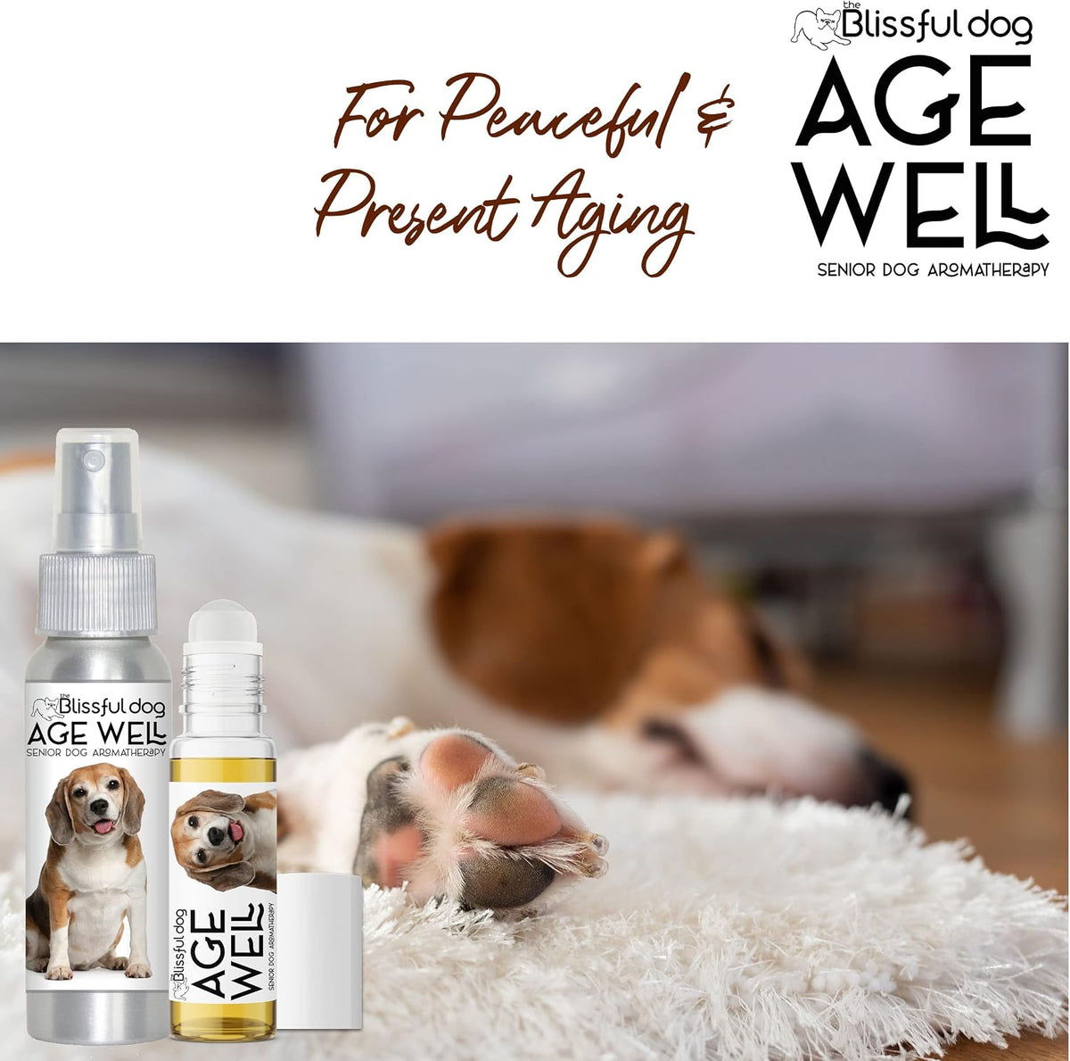 The Blissful Dog Beagle Age Well Spray Aromatherapy - 80 ml - görsel 2