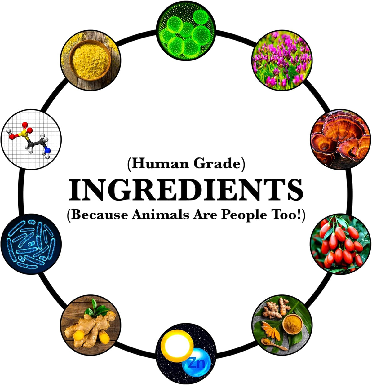 More Dog Days Anti-Ageing & Immune Support | Organic, Human-Grade Ingredients | Medicinal Plants & Mushroom Extracts | Omega 3s, Antioxidants, Probiotics, Vitamins & Minerals | Plant-Based & Vegan - görsel 4
