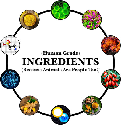 More Dog Days Anti-Ageing & Immune Support | Organic, Human-Grade Ingredients | Medicinal Plants & Mushroom Extracts | Omega 3s, Antioxidants, Probiotics, Vitamins & Minerals | Plant-Based & Vegan