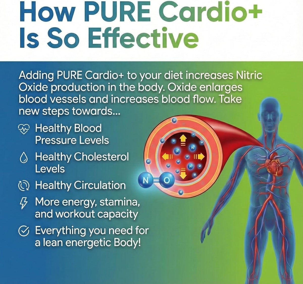 PURE® Cardio+ Nitric Oxide Circulation Support - 5000mg L-Arginine & 1000mg L-Citrulline - Mixed Berry Flavour, 30 Servings Powder, 363g - CoQ10 & Beetroot - High Potency Heart Formula - görsel 4