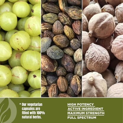 Herbsforever Triphala Capsules – 8:1 Extract (Amla, Haritaki, Bibhitaki) – 60 Vegetarian Capsules