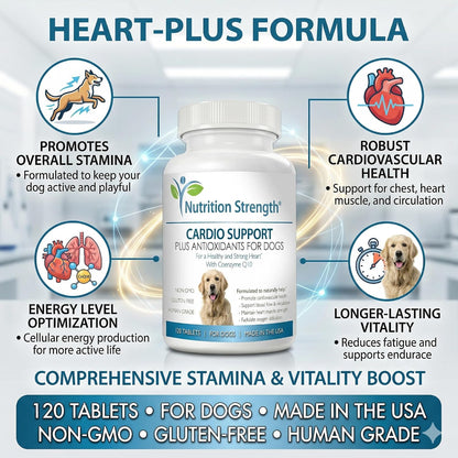 Cardio Support for Dogs Plus Antioxidant, L-Carnitine, L-Taurine, with Coenzyme Q10 and Vitamin E, Supports a Healthy and Strong Dog Heart, 120 Chewable Tablets