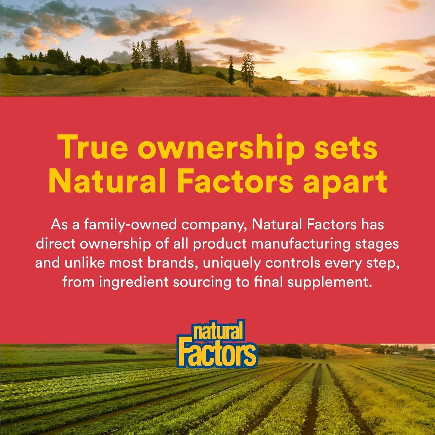 Natural Factors Citrus Bioflavonoids 650 mg – 90 Capsules - görsel 7