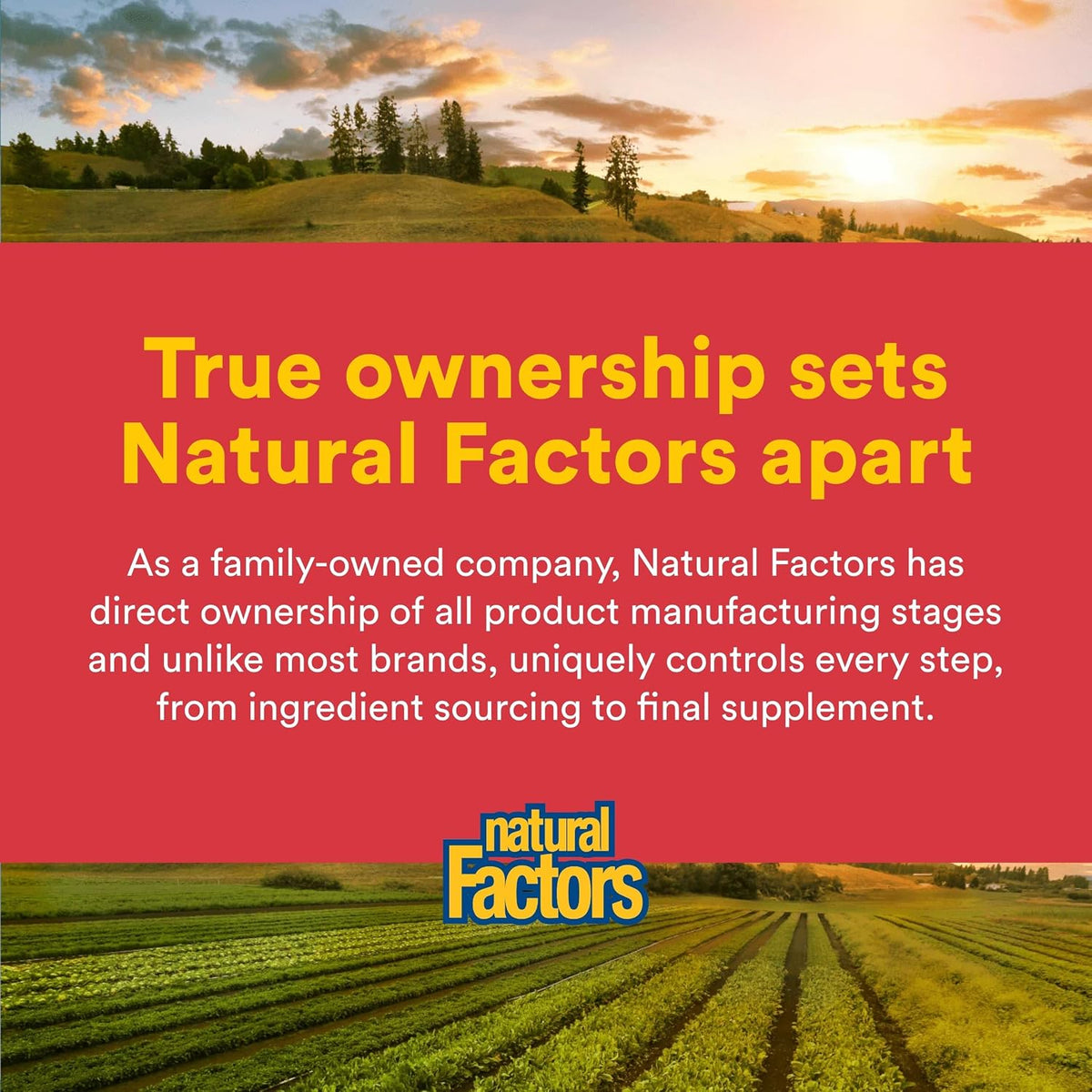 Natural Factors Citrus Bioflavonoids 650 mg – 90 Capsules - görsel 7