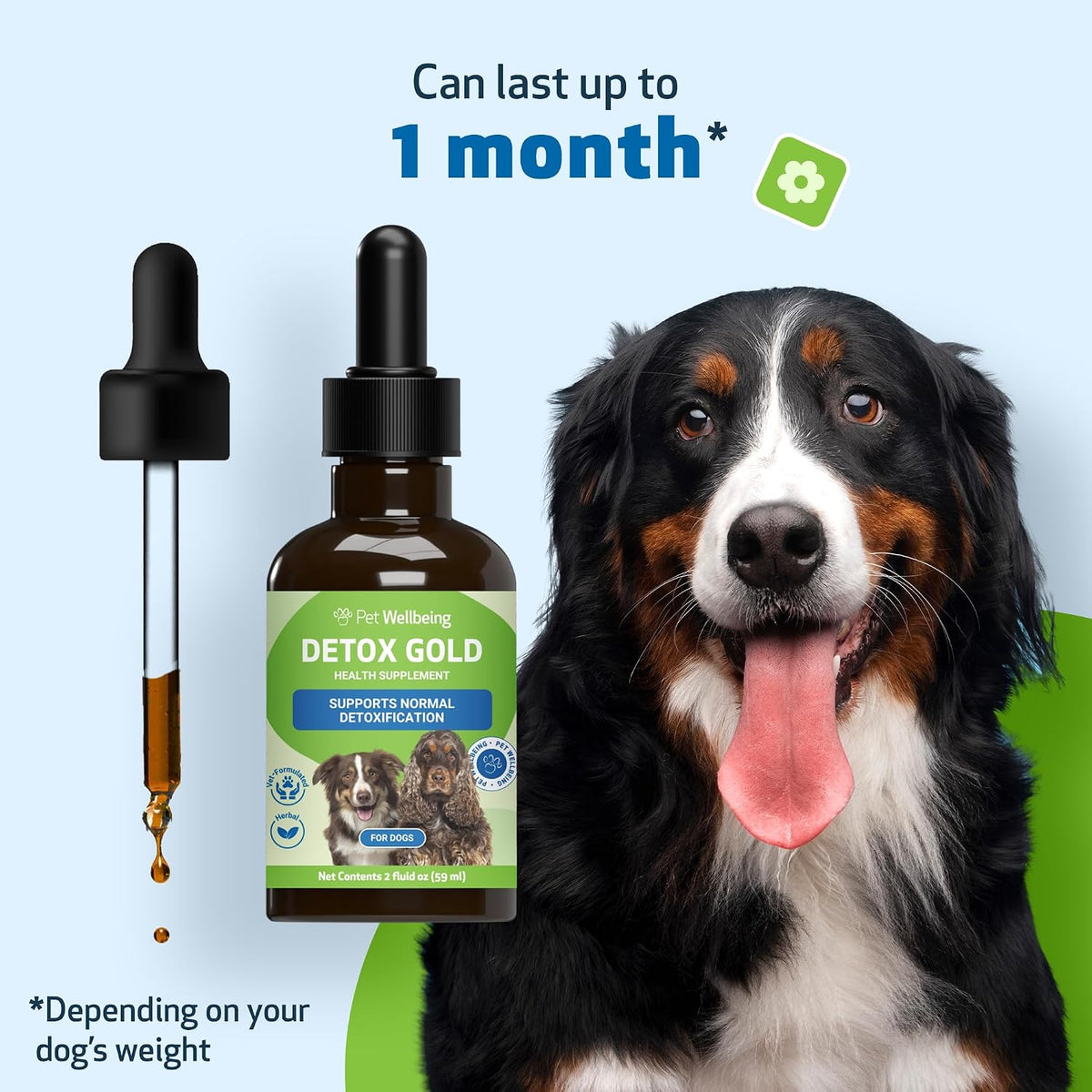 Pet Wellbeing Detox Gold for Dogs – Gentle Cleansing & Immune Support, Veterinary-Formulated Herbal Supplement (60 ml) - görsel 8