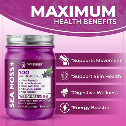 WELLNESS LABSRX Irish Sea Moss Gel - Elderberry Flavour, 284g