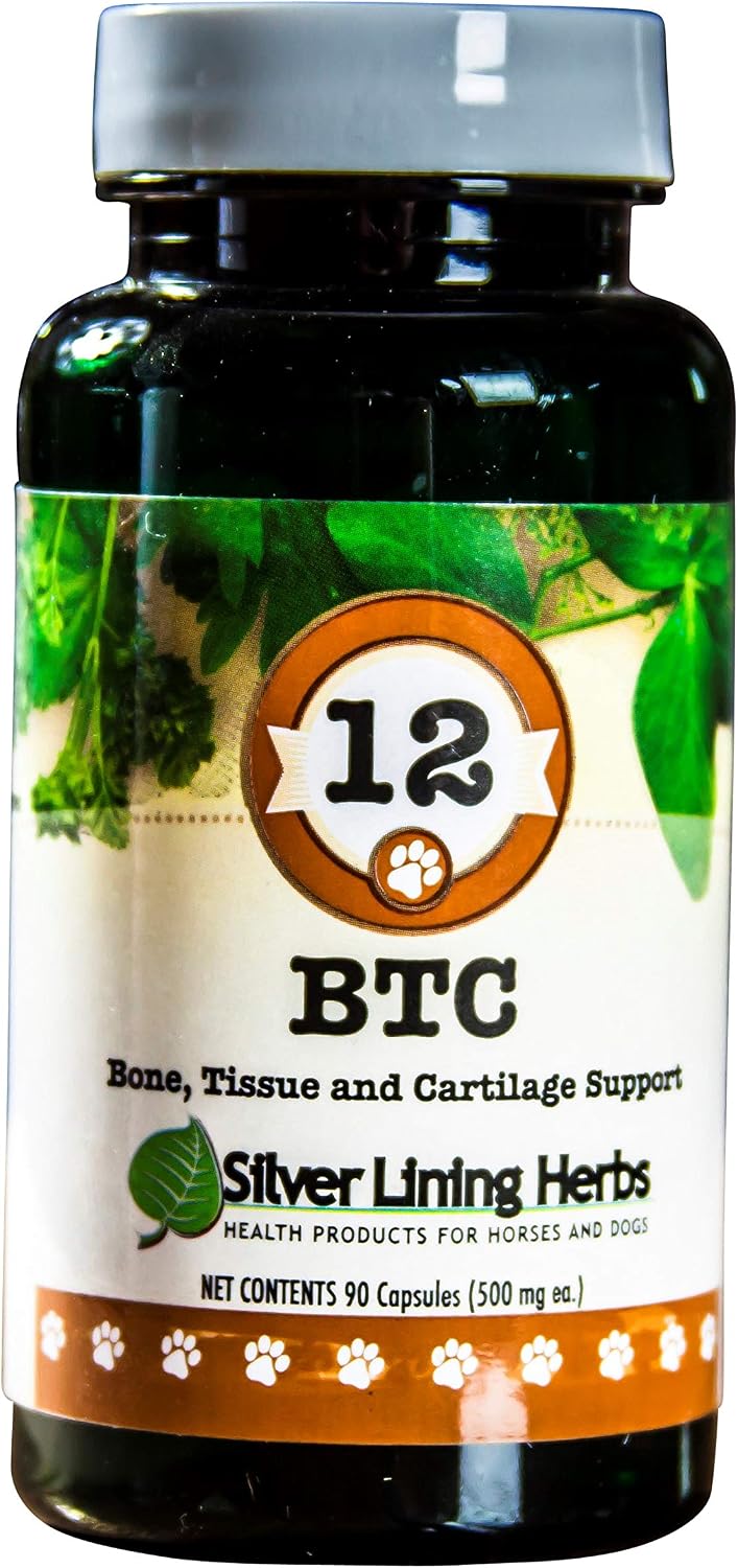 12 Bone Tissue and Cartilage - Natural Herbal Support for Dog's Structural System - 90 Capsules - görsel 1