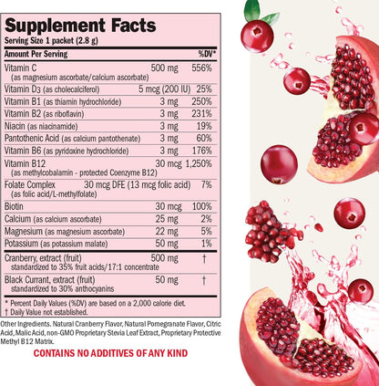 ANDREW LESSMAN Efficient C + Cranberry Benefits (30 Packets)