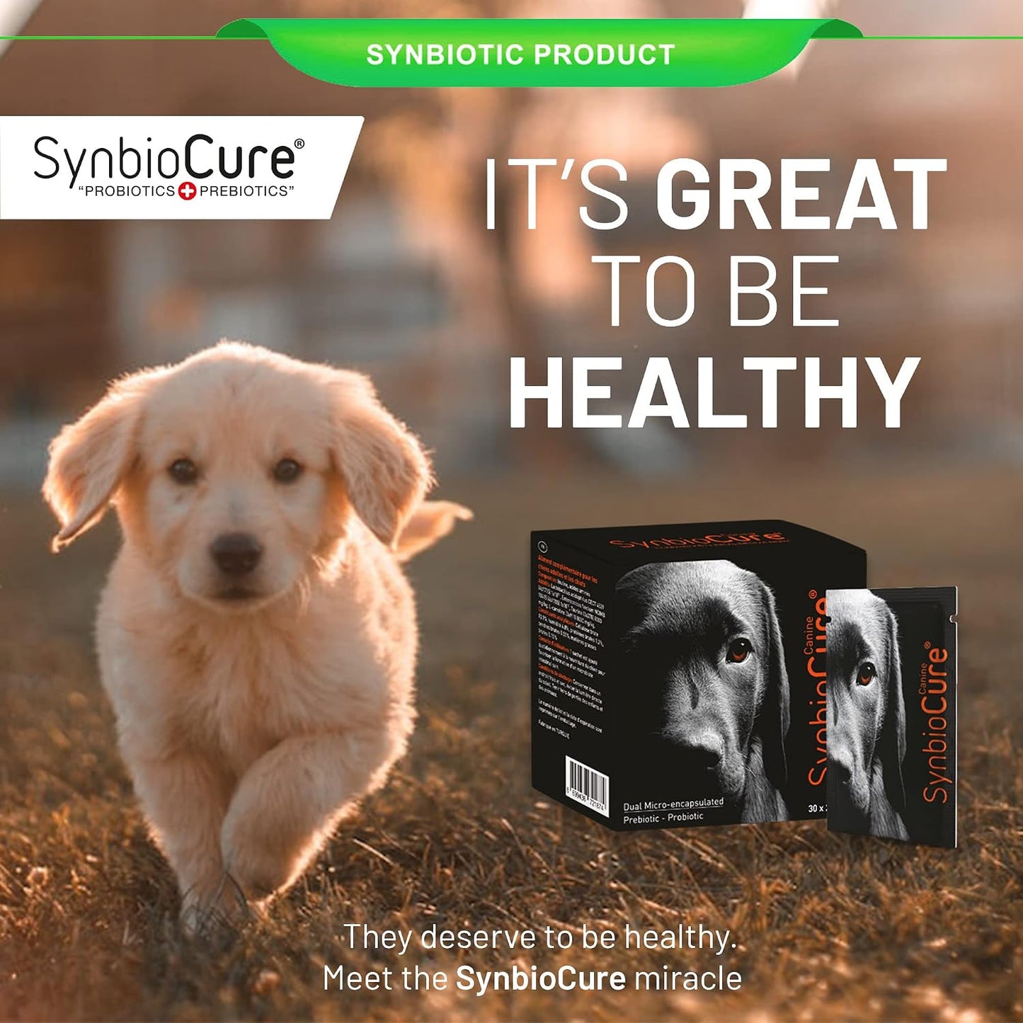 SynbioCure Probiotics & Prebiotics for Dogs - Powder Supplement with 200 Billion CFU - 30 Sachets - görsel 6