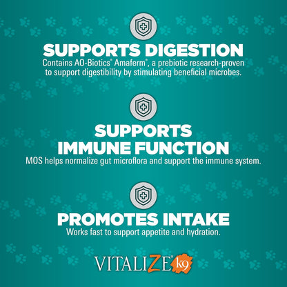 Vitalize Dog Gel - Surgery Recovery & Immune Support for Small Dogs - Peanut Butter Flavour (15 ml)