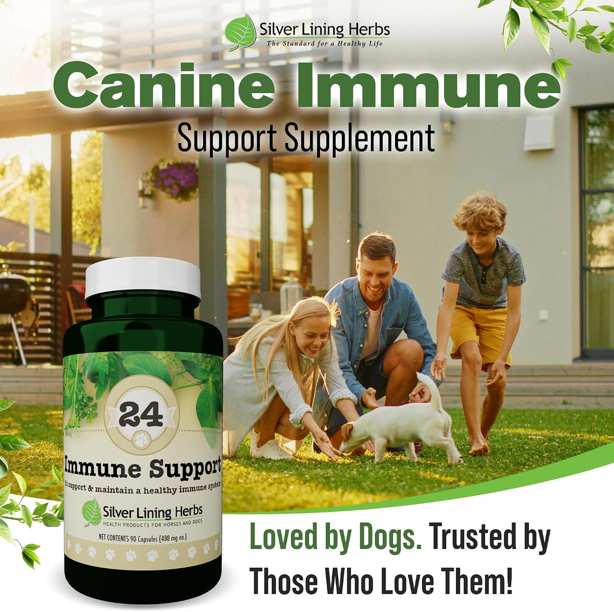 Silver Lining Herbs Dog Immune Support Supplement – Natural Herbal Dog Vitamins, 90 Capsules - görsel 6