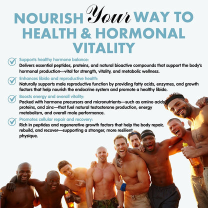 Primal Being Grass-Fed Beef Testes Capsules – Nutrient-Dense Beef Organ Supplement for Men, New Zealand Sourced, 120 Capsules