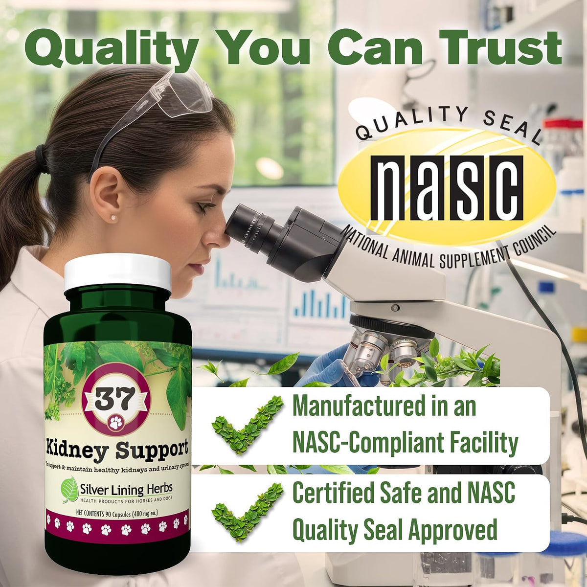 Kidney Support for Dogs – Natural Herbal Canine Kidney Cleanse & Bladder Support Supplement with Cranberry & Astragalus – 90 Capsules - görsel 7
