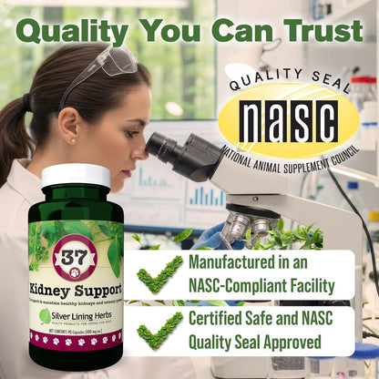 Kidney Support for Dogs – Natural Herbal Canine Kidney Cleanse & Bladder Support Supplement with Cranberry & Astragalus – 90 Capsules
