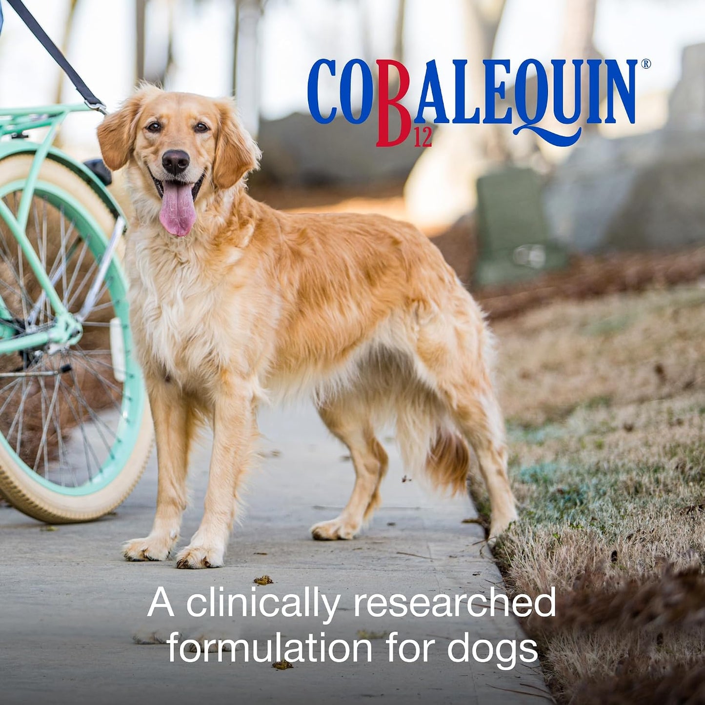 Nutramax Cobalequin B12 for Dogs – Oral Cobalamin Supplement with Folate, 45 Chewable Tablets - görsel 2