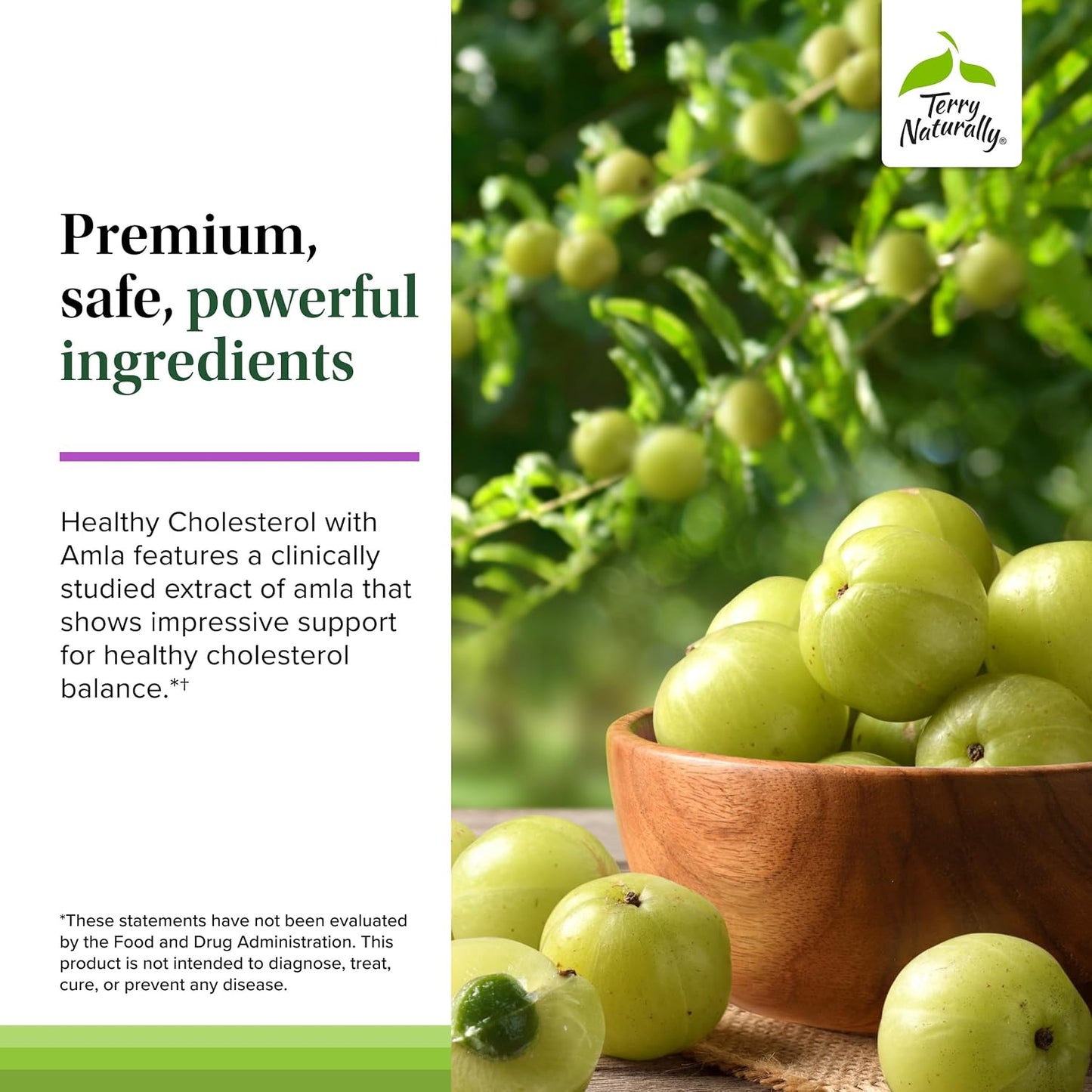 Terry Naturally Healthy Cholesterol with Amla – Promotes Heart Health – 60 Capsules - görsel 5