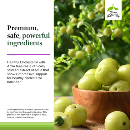 Terry Naturally Healthy Cholesterol with Amla – Promotes Heart Health – 60 Capsules