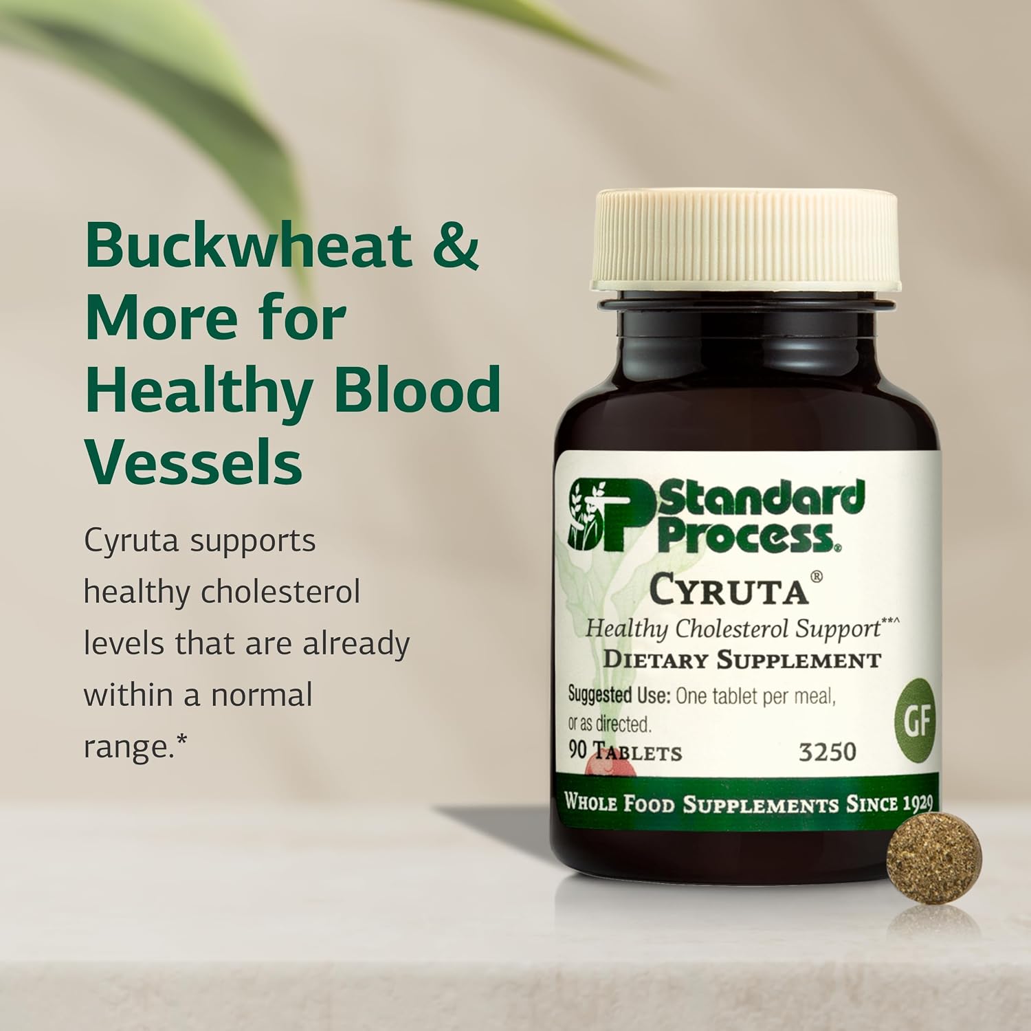 Standard Process Cyruta - Healthy Metabolic Process & Circulation Support Food Supplement - 90 Tablets - görsel 3