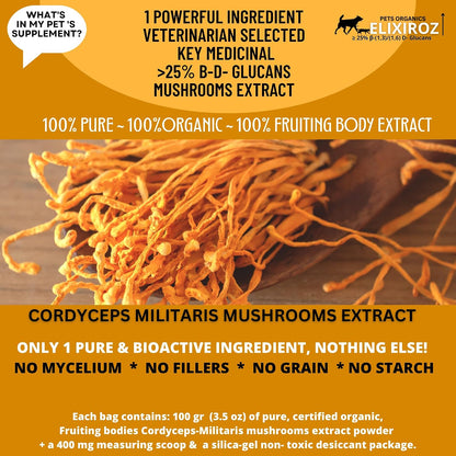 Cordyceps Mushroom Extract for Dogs & Cats – 25%+ Beta Glucans – Fruiting Body (8:1–12:1 Concentrated) – Energy, Stamina & Vitality Support – No Fillers – 250 Servings