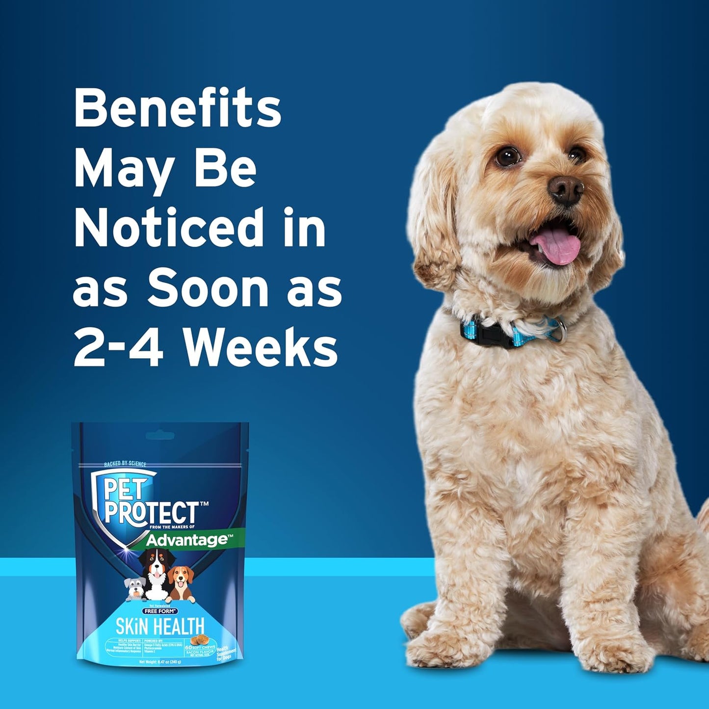 Pet Protect Skin Health Supplement for Dogs – Bacon-Flavoured Soft Chews, 60 Count - görsel 6