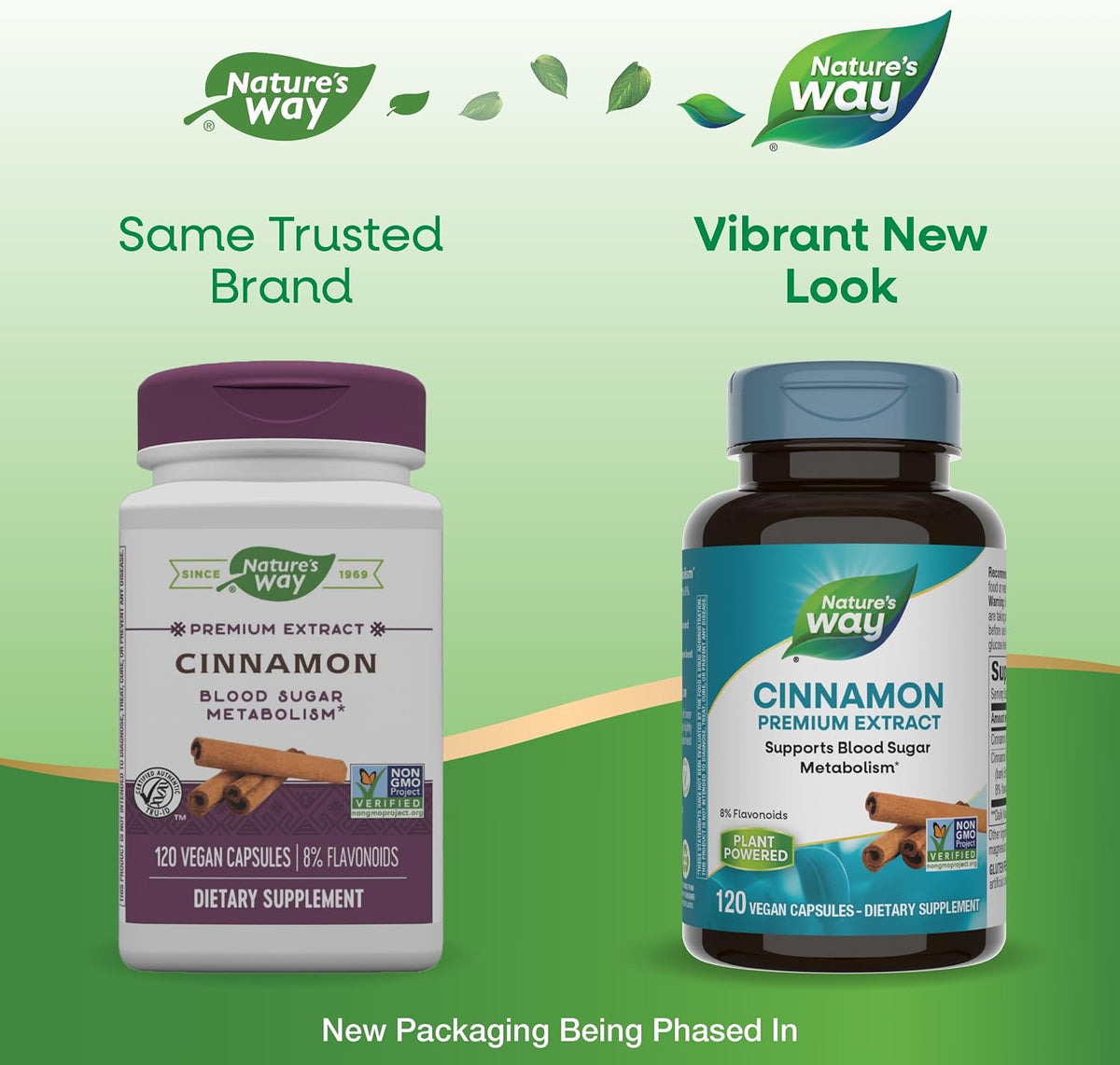 Nature's Way Cinnamon Premium Extract, 120 Vegan Capsules (2 Pack) – Standardised to 8% Flavonoids, Supports Normal Carbohydrate Metabolism, Non-GMO Project Verified, Gluten-Free - görsel 3