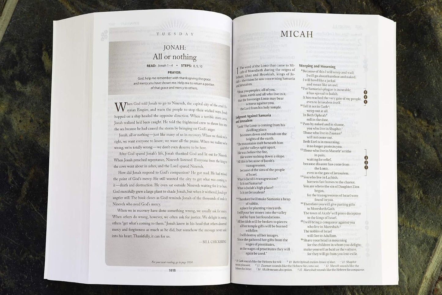 NIV, Recovery Devotional Bible, Paperback - görsel 8