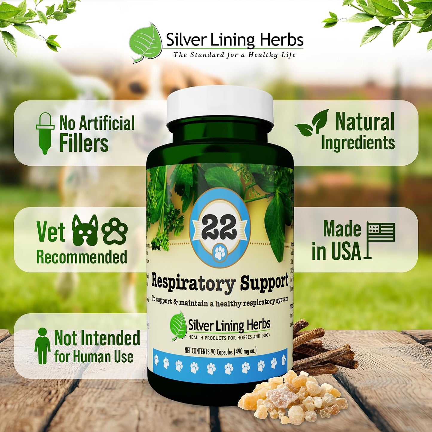 Silver Lining Herbs Dog Respiratory Support Capsules – Herbal Blend for Clear Breathing and Lung Health (90 Capsules) - görsel 5