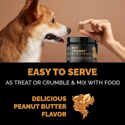 Pet Theory Probiotics for Dogs – Pre, Pro & Postbiotic Soft Chews for Digestive Health and General Wellbeing (100 Chews)