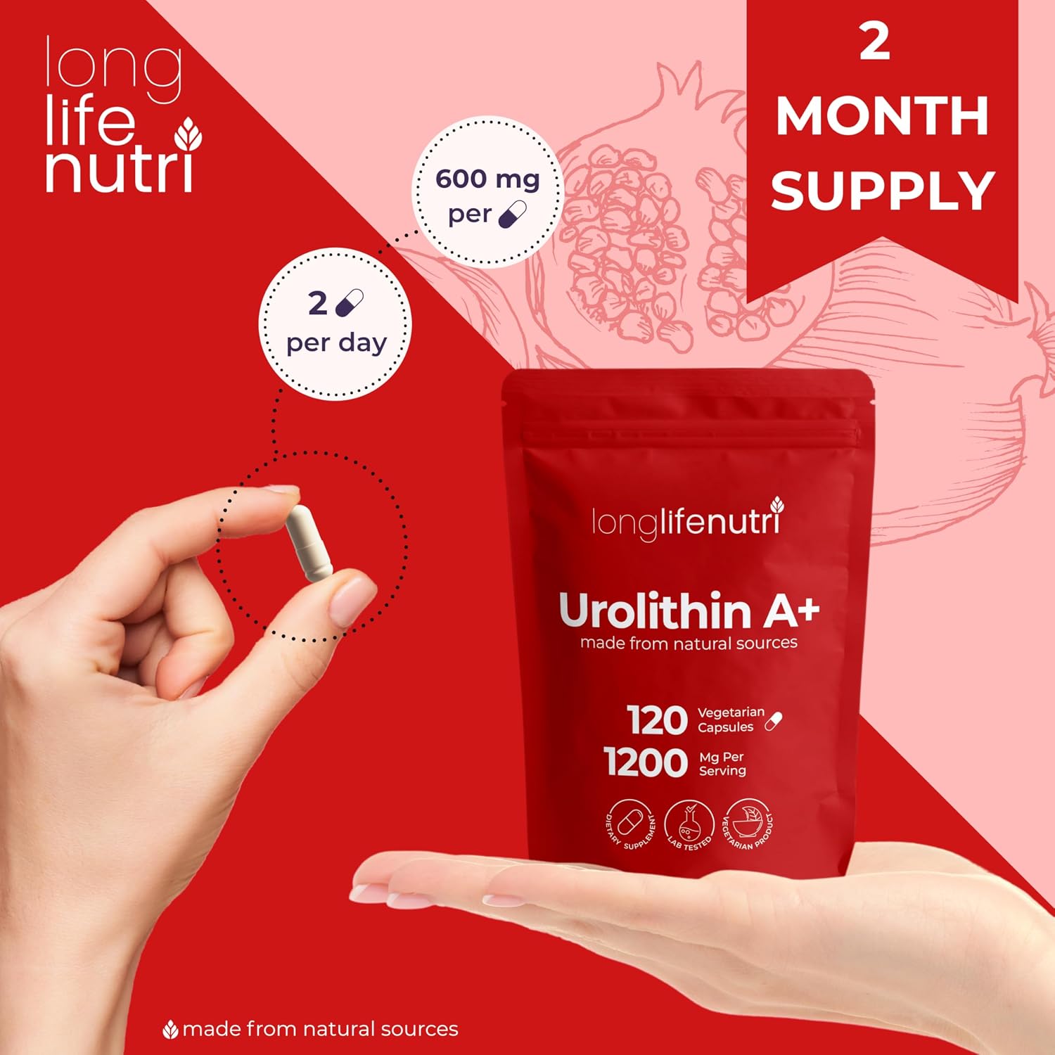 LongLifeNutri Urolithin A 1200mg – Postbiotic Food Supplement, 120 Vegan Capsules - görsel 5