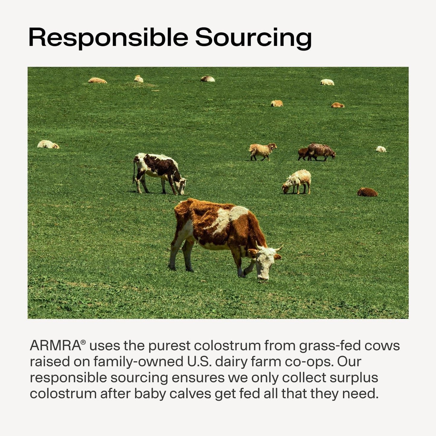 ARMRA Colostrum Powder – Vine Watermelon (30 Servings) - görsel 7