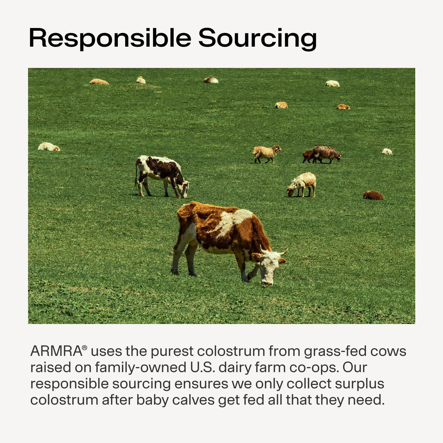 ARMRA Colostrum Powder, Vine Watermelon – 90 Servings - görsel 7