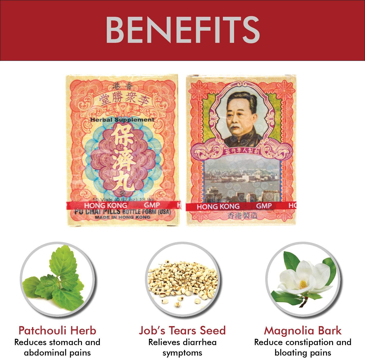 Po Chai Pills Herbal Supplement (10 vials) - görsel 2