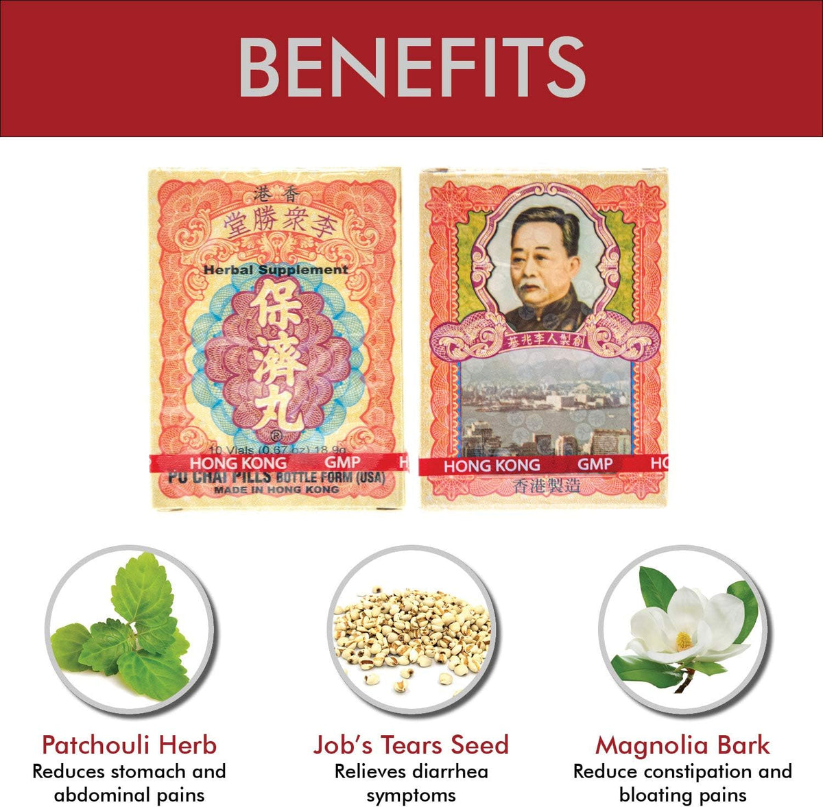 Po Chai Pills Herbal Supplement – Traditional Immune and Digestive Support (10 Vials) - görsel 2