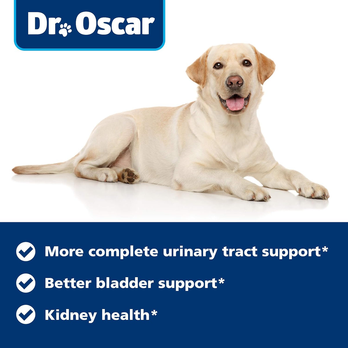 Dr. Oscar Dog UTI Treatment – Urinary Tract & Bladder Support Chews - görsel 6