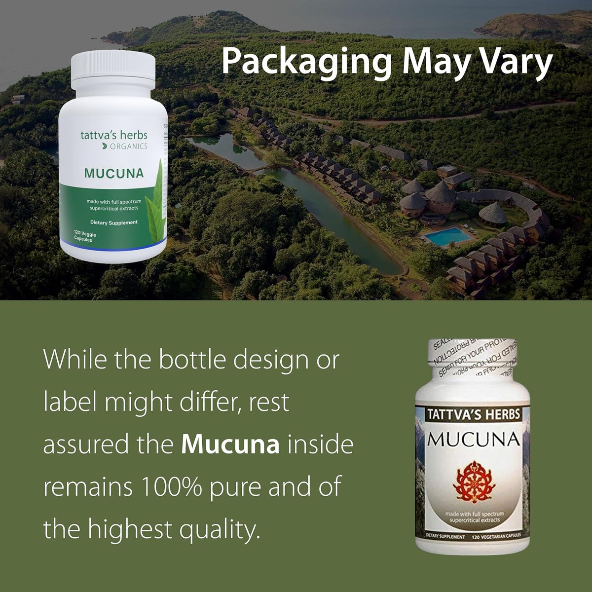 Tattva's Herbs CO2 Holistic Mucuna Pruriens Extract 500 mg, 240 Capsules (2-Pack) - görsel 2