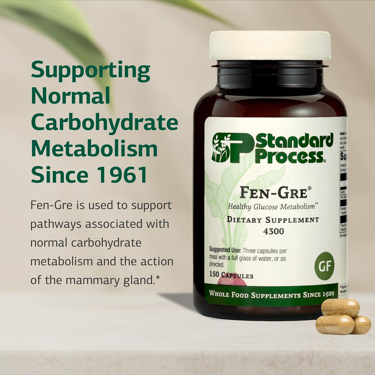 Standard Process Fen-Gre - Fenugreek Supplement for Respiratory and Metabolic Support - görsel 3